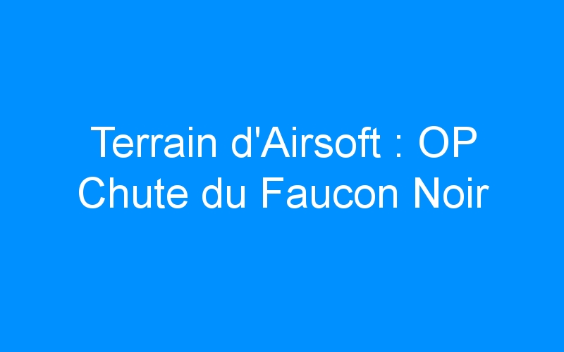 You are currently viewing Terrain d’Airsoft : OP Chute du Faucon Noir
